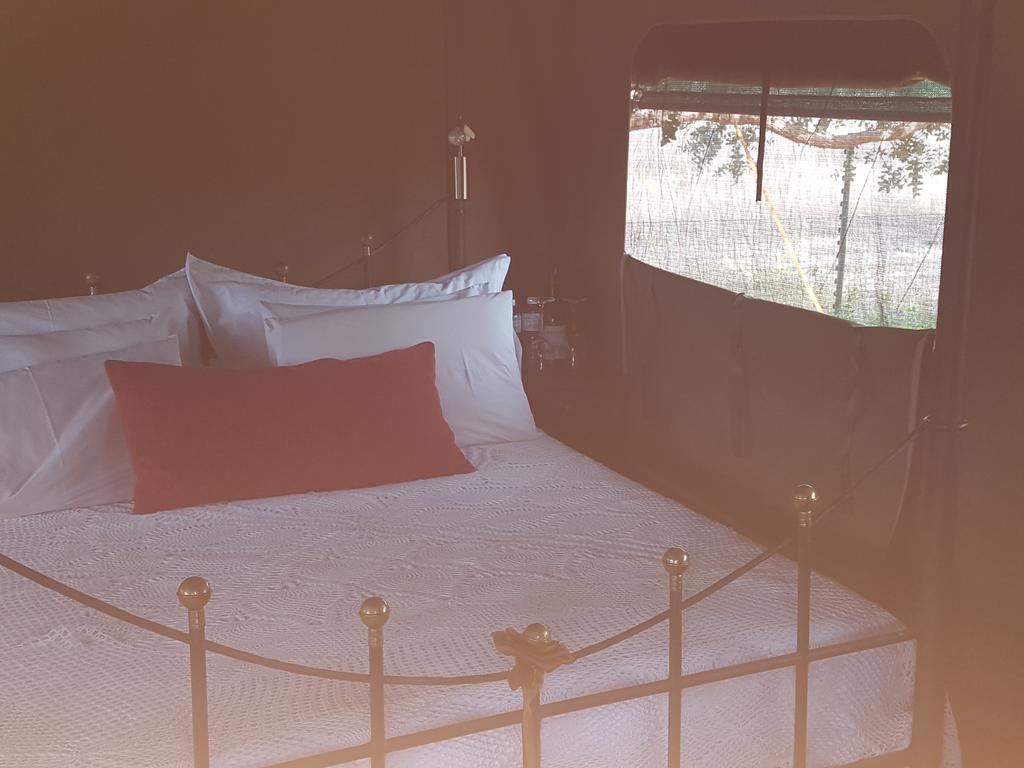 Hoopenburg Guesthouse Klapmuts 외부 사진