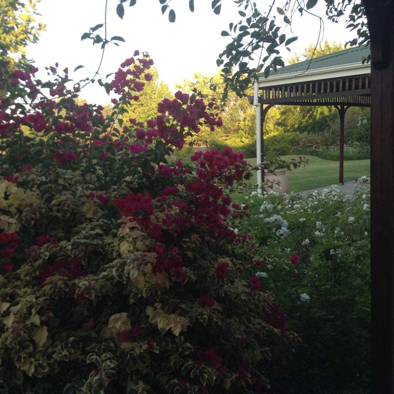 Hoopenburg Guesthouse Klapmuts 외부 사진